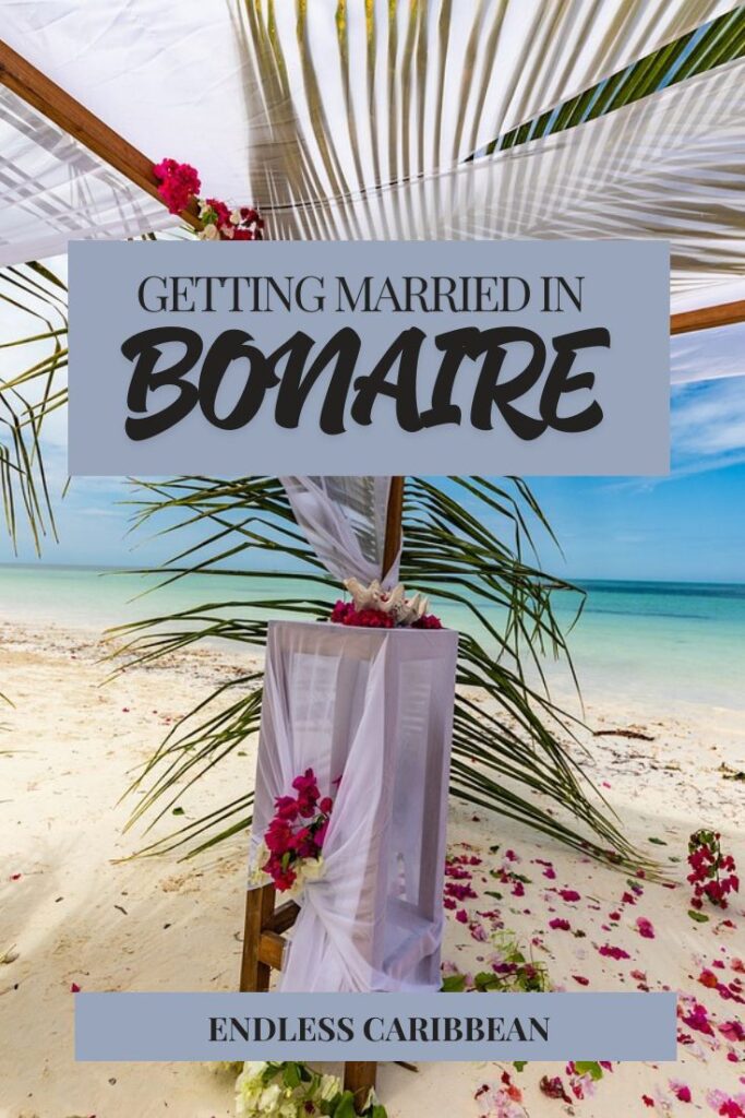Endless Caribbean - Pinterest - Getting Married in Bonaire