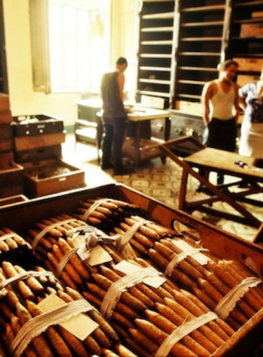 Endless Caribbean - Cuban Cigar Factory Tours