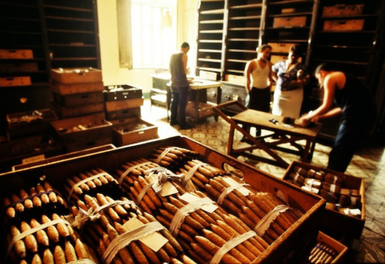 Endless Caribbean - Cuban Cigar Factory Tours