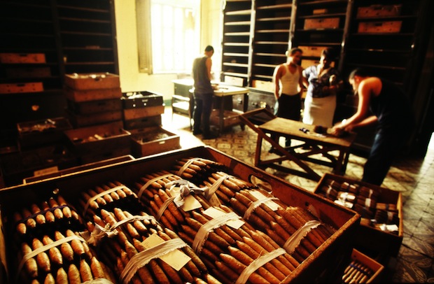 cigar factory tours