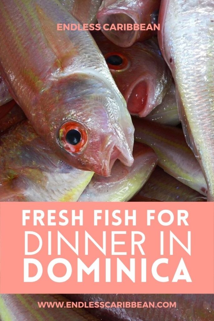 Endless Caribbean - Pinterest - Fresh Fish for Dinner in Dominica
