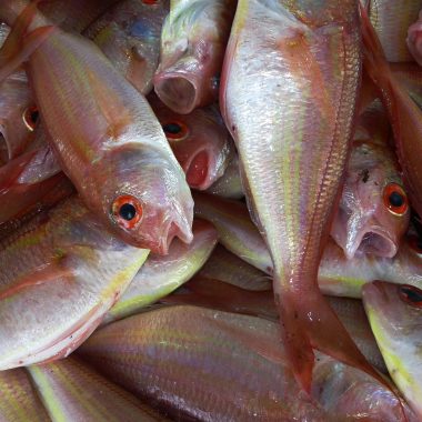 fresh fish for dinner in Dominica