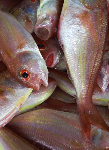 fresh fish for dinner in Dominica