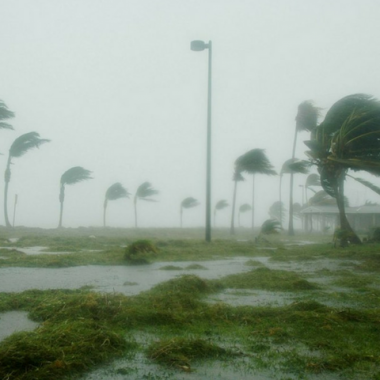 Hurricane Relief
