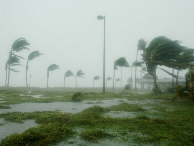 Hurricane Relief