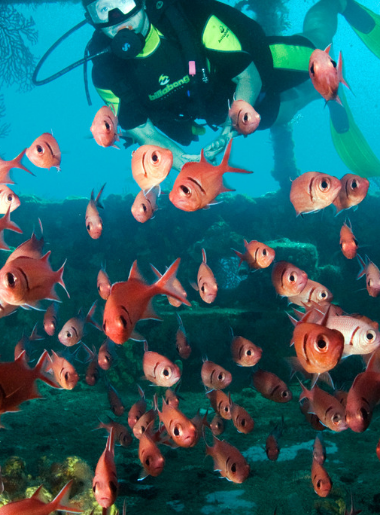 Snorkeling in St. Lucia_ Explore St. Lucia's Underwater World - Foodica