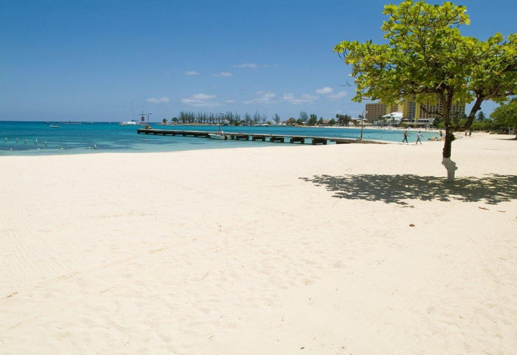5 Things You Must Do When You Go to the Caribbean 1