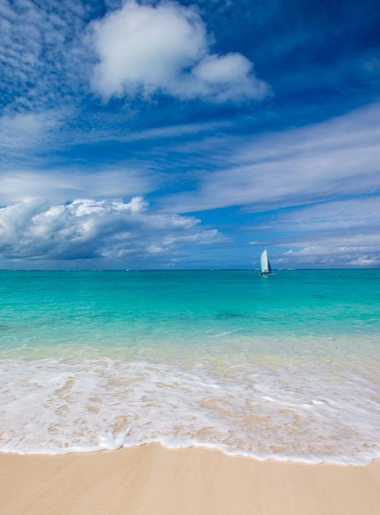 Endless Caribbean - Stunning Wellness Retreats in the Turks and Caicos Islands 1