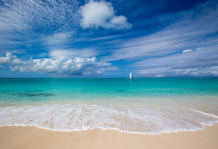 Endless Caribbean - Stunning Wellness Retreats in the Turks and Caicos Islands 1