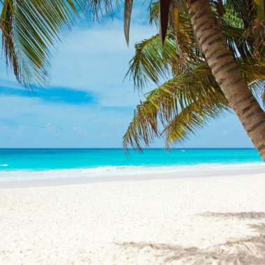 Endless Caribbean - Coronavirus and the Caribbean