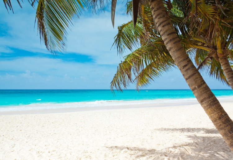 Endless Caribbean - Coronavirus and the Caribbean