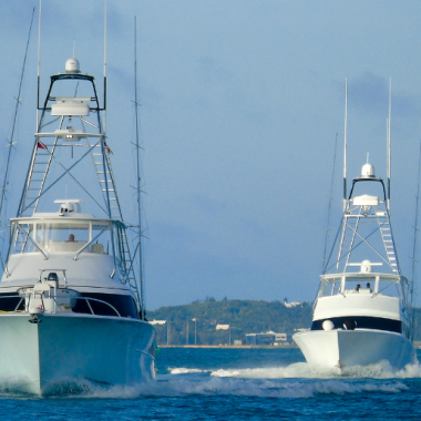 Endless Caribbean - Catch of a Lifetime_ A Bermuda Deep Sea Fishing Excursion Itinerary