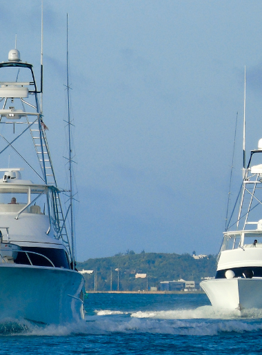 Endless Caribbean - Catch of a Lifetime_ A Bermuda Deep Sea Fishing Excursion Itinerary
