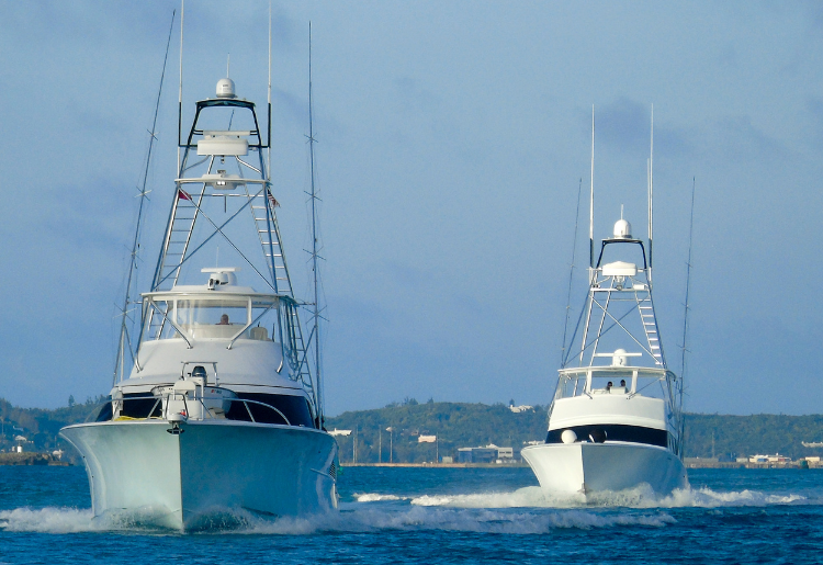 Endless Caribbean - Catch of a Lifetime_ A Bermuda Deep Sea Fishing Excursion Itinerary