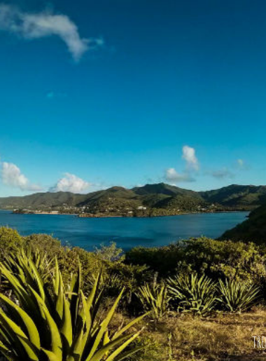 Endless Caribbean - Antigua Wins Gold at the Travel Weekly Magellan Awards