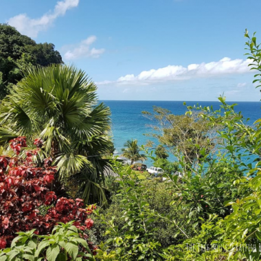 Endless Caribbean - Caribbean Airbnb Rentals Under $100 a Night