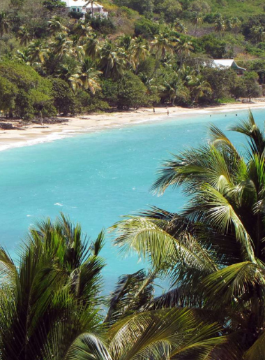 Endless Caribbean - Bequia Air Launches VIP All-Inclusive Packages