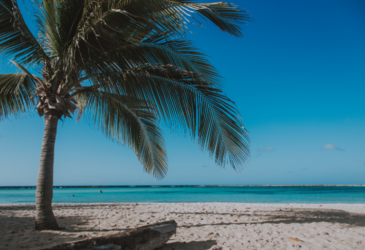 Endless Caribbean - Score Big Savings on Caribbean Vacations