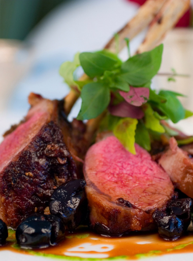 Endless Caribbean - Culinary Directory