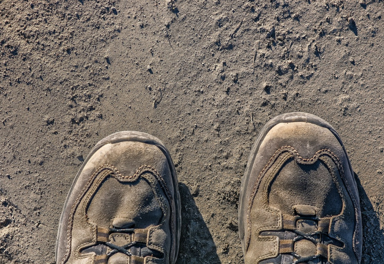 Endless Caribbean - Best Hiking Shoes