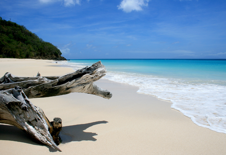 Endless Caribbean - Frontier Airlines to Touchdown in Antigua
