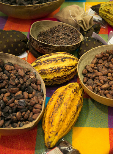Endless Caribbean - Grenada is the First Culinary Capital in the Caribbean