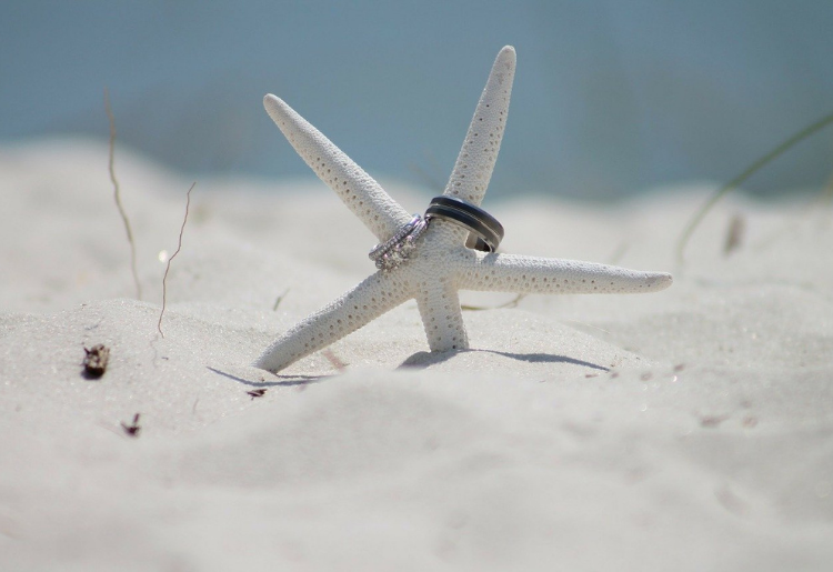 Endless Caribbean - The Caribbean Destination Wedding Checklist