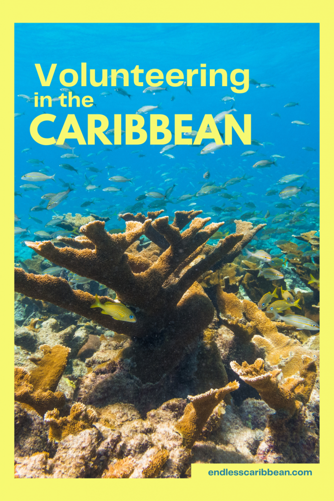 Pinterest Pin Volunteering in the Caribbean