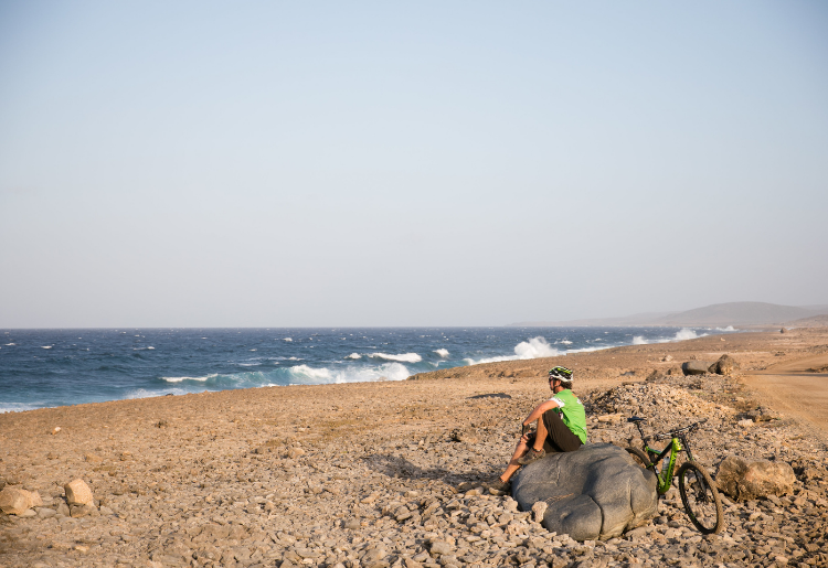 Endless Caribbean - Best Mountain Bikes for Caribbean Trails