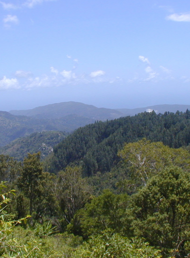 Endless Caribbean - National Parks in the Caribbean