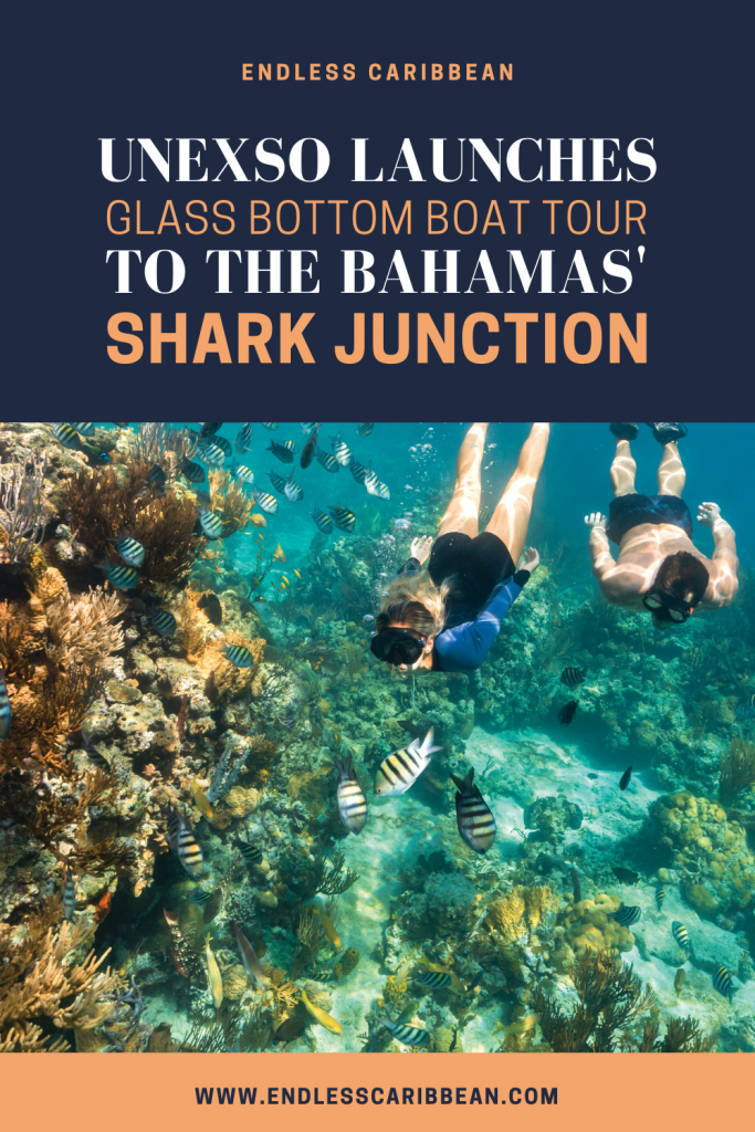 Pinterest - Endless Caribbean - UNEXSO Launches Glass Bottom Boat Tour to Shark Junction
