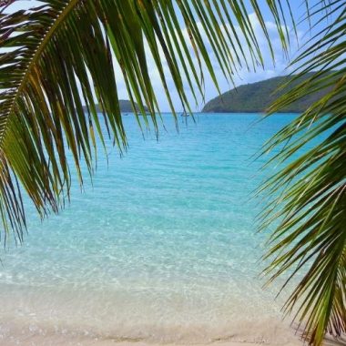 Endless Caribbean - Bed and Breakfasts in the US Virgin Islands
