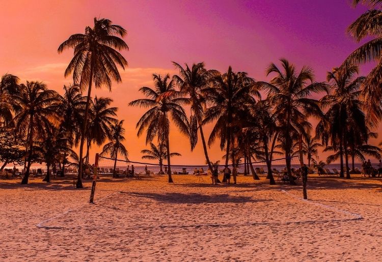 Endless Caribbean - Tourism Authorities in the Caribbean
