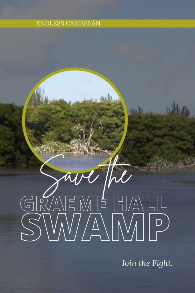 Pinterest - Endless Caribbean - Join the Fight to Save the Graeme Hall Swamp