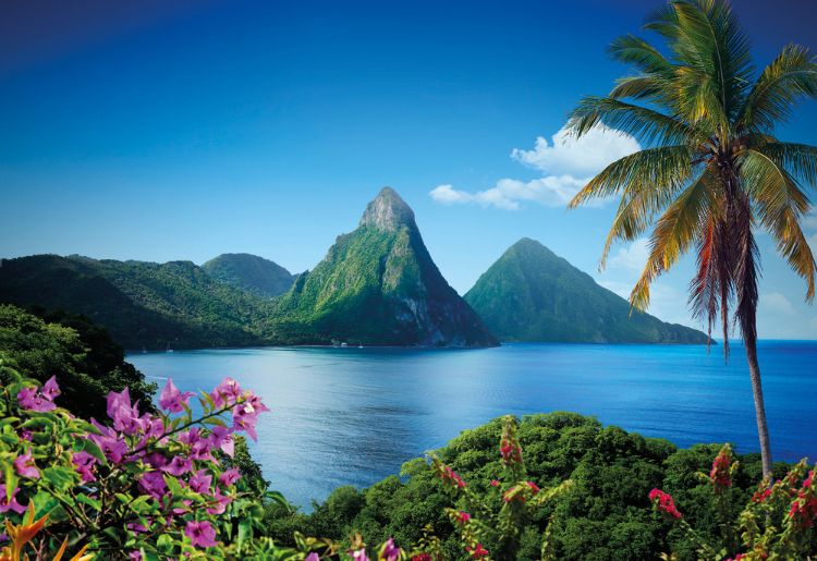 Endless Caribbean - Top 11 Things You May Not Have Known About The Anglo-Caribbean-New