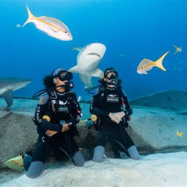 Endless Caribbean - Dive Companies in the Bahamas