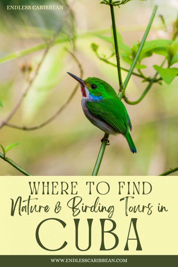 Endless Caribbean - Pinterest - Where to Find Nature and Birding Tours in Cuba