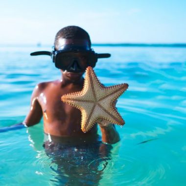 Endless Caribbean - The CTO Foundation