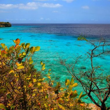 Endless Caribbean - Curacao’s Visitor Arrivals