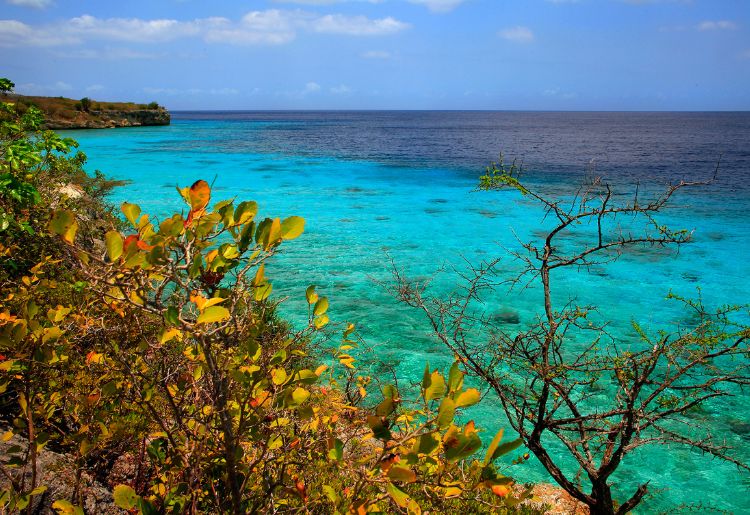 Endless Caribbean - Curacao’s Visitor Arrivals