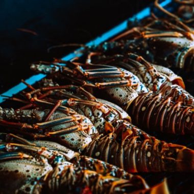 Endless Caribbean - Saint Martin Announces Its Gastronomy Festival