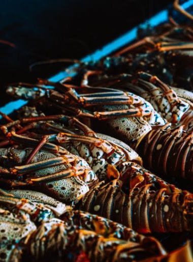 Endless Caribbean - Saint Martin Announces Its Gastronomy Festival