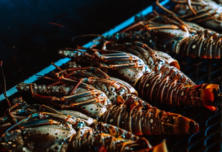 Endless Caribbean - Saint Martin Announces Its Gastronomy Festival