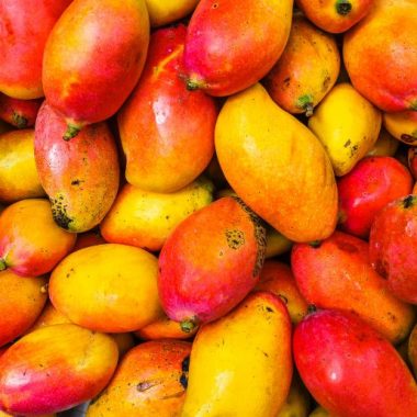 Endless Caribbean - Volunteering at the FAO