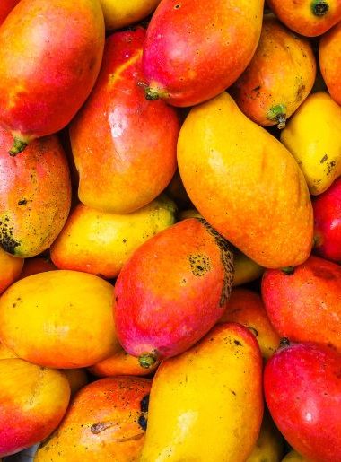 Endless Caribbean - Volunteering at the FAO