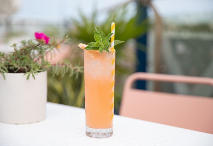 Endless Caribbean - Cocktail Bars in Bermuda