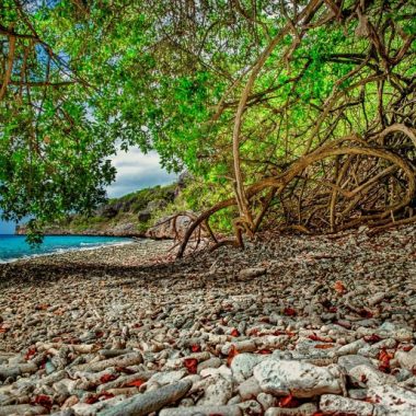 Endless Caribbean - Bonaire to Host Yoga & Wellness Festival