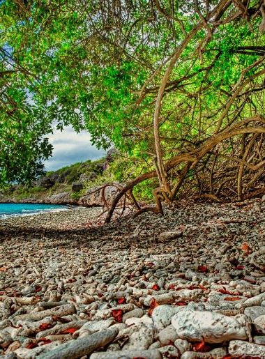Endless Caribbean - Bonaire to Host Yoga & Wellness Festival