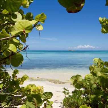 Endless Caribbean - New Marketing Strategy for Antigua and Barbuda