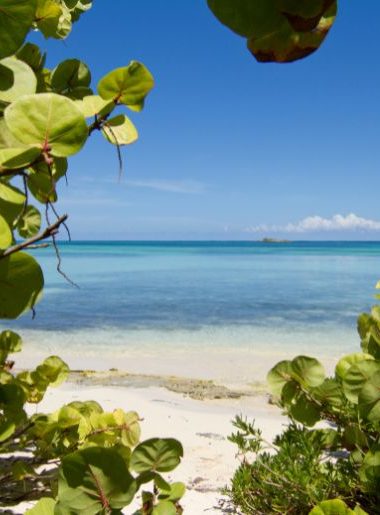Endless Caribbean - New Marketing Strategy for Antigua and Barbuda